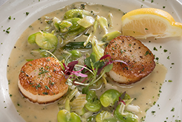 scallops scallops